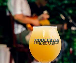 fiddlehead pint